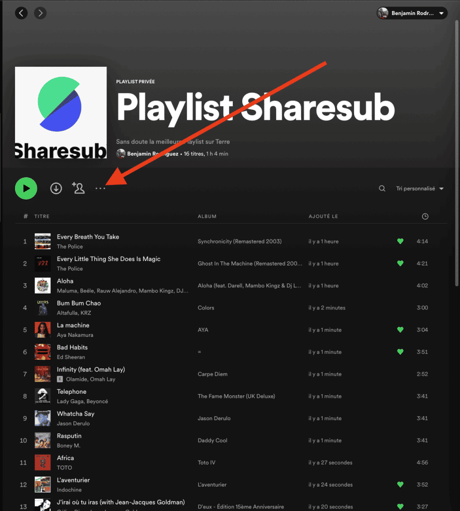 Capture d'écran de Spotify, playlist "Playlist Sharesub" avec une flèche pointant vers le menu