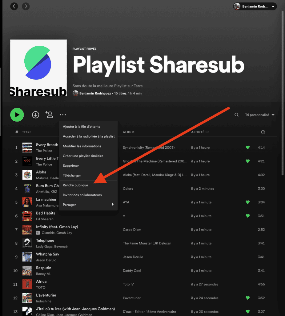 Capture d'écran du menu déroulant d'une playlist Spotify avec l'option "Rendre publique"
