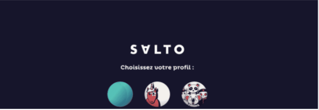 changer de profil Salto