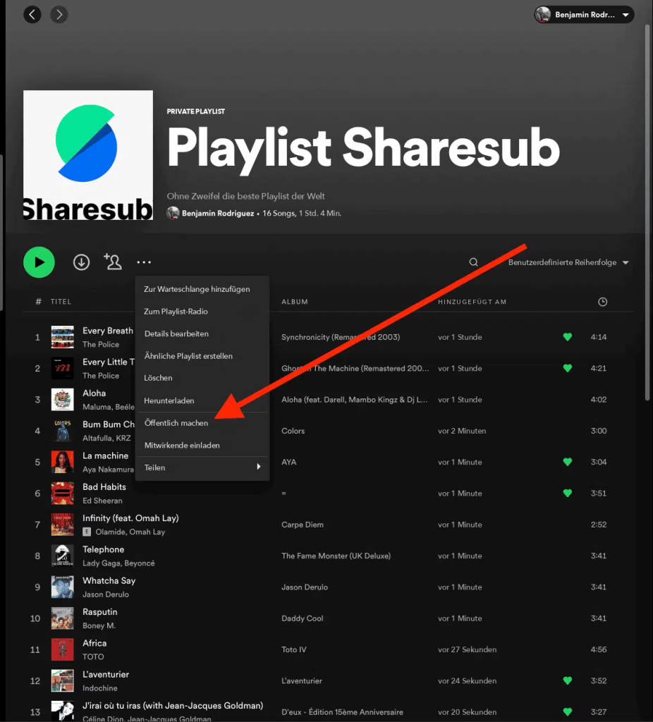 Screenshot des Dropdown-Menüs einer Spotify-Playlist mit der Option „Öffentlich machen“