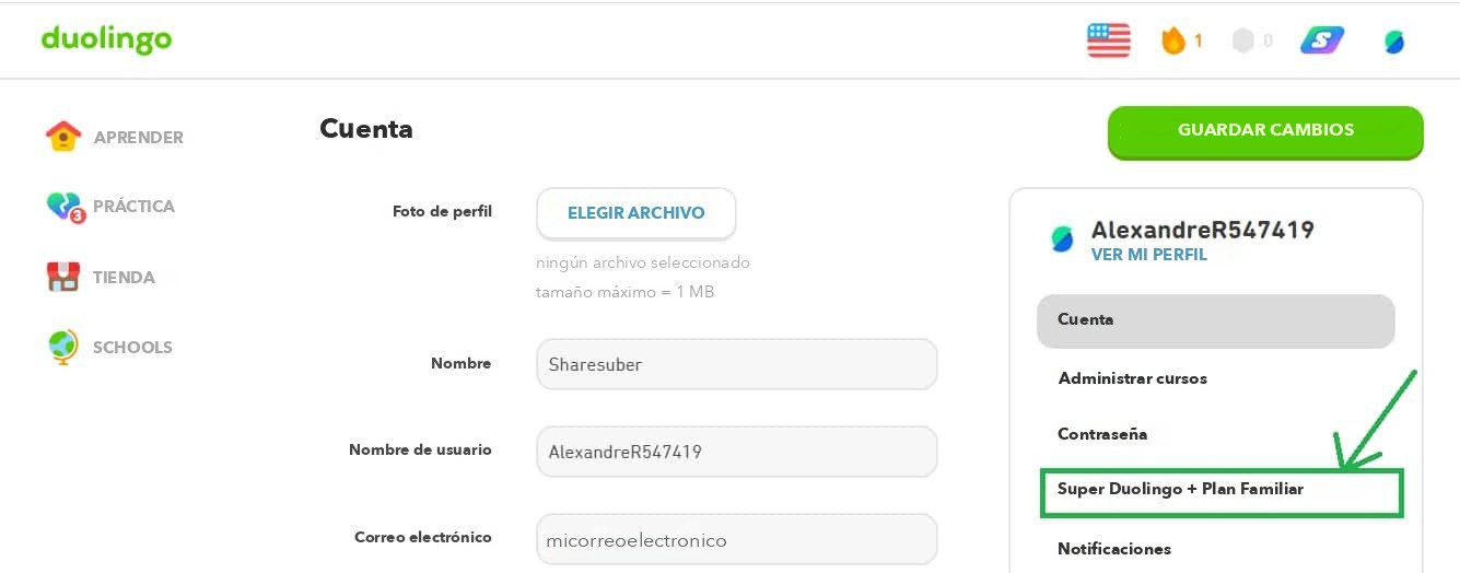 comprueba tu suscripción a duolingo