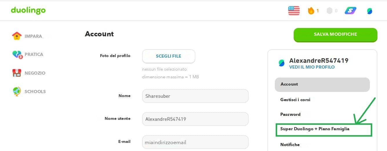 controlla il tuo abbonamento a duolingo