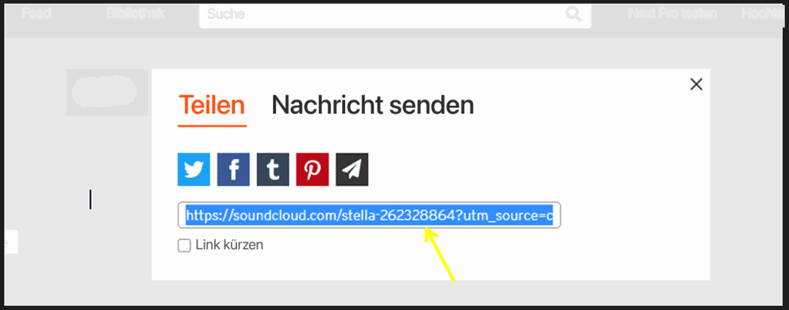 SoundCloud-Dialogfeld zum Teilen mit Schaltflächen für soziale Netzwerke und ausgewählter Profil-URL