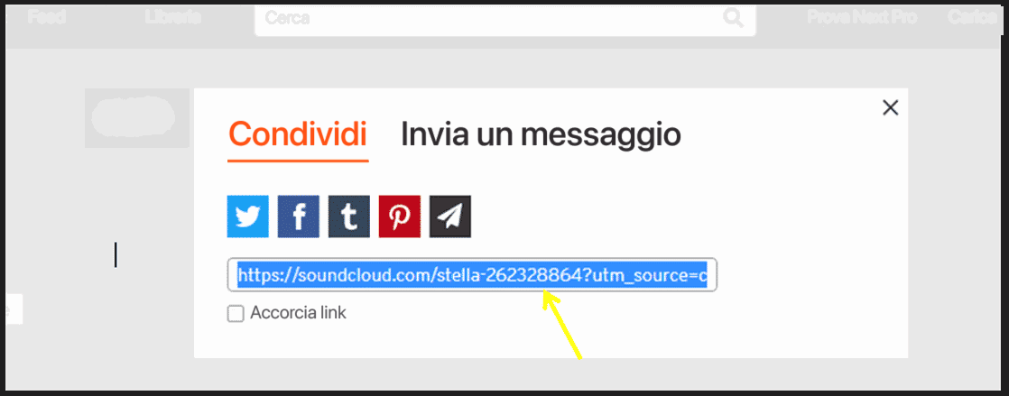 Finestra di condivisione di SoundCloud con i pulsanti dei social network e l'URL del profilo selezionato